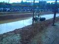 videos de Buffalo Race at Manipal