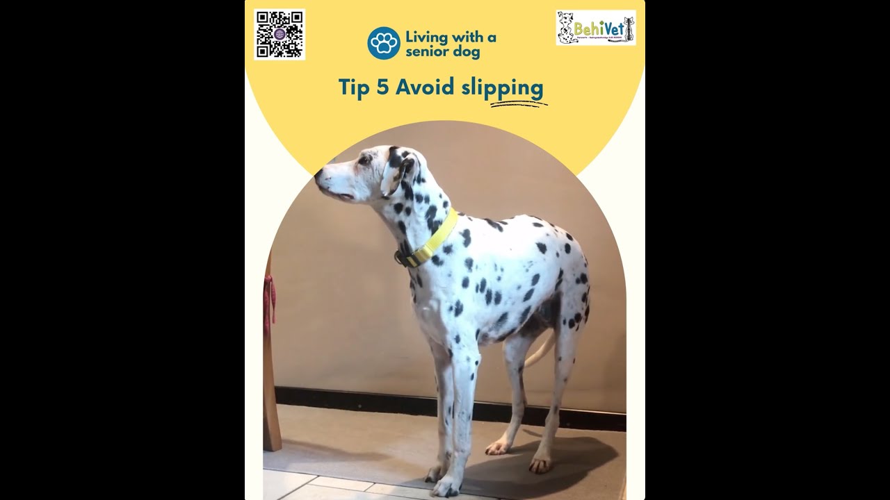 TIP 5 – Avoid slipping