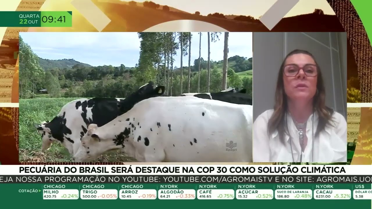 Pecuária do Brasil será destaque na COP 30 como solução climática