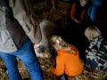 Het feestje van Rudon op de geitenboerderij