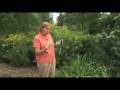 videos de Restoring and Enhancing the Rouge River Watershed