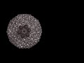 Virus structure
