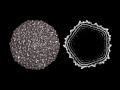 Virus structure