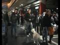 videos de Operation Freeze, Bahnhof Luzern