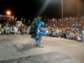 Kiari Tepusen(Arara Azul RR)roraima