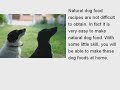 Natural Dog Food Recipes