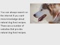 Natural Dog Food Recipes