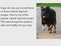 Natural Dog Food Recipes