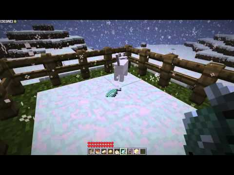 how to tame a cat in minecraft mo creatures
