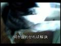 �鉤�؊J����17