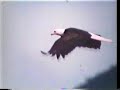 Buy United States Savings Bonds 1985 Buy United States Savings Bonds 1985