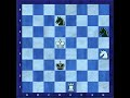 The longest 6 pieces mate R+N vs N+N The longest 6 pieces mate R+N vs N+N
