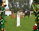 Id�al a richebourg
