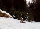 Snowboard zerbrochen Snowboard zerbrochen