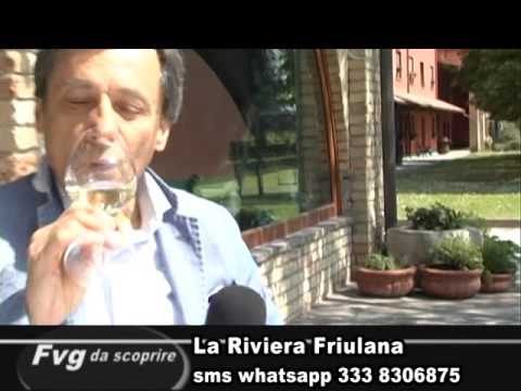 Immagine anteprima YouTube