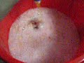 haciendo un cubo de sangria