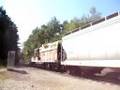 1729 At River Run, (New Used Camera)
