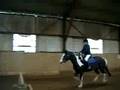 Show Jumping