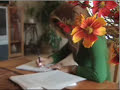 Thumbnail #3