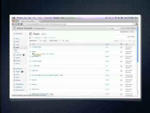 how to version control wordpress