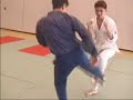 Muay Thai VS Karate