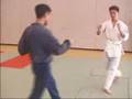 Muay Thai VS Karate