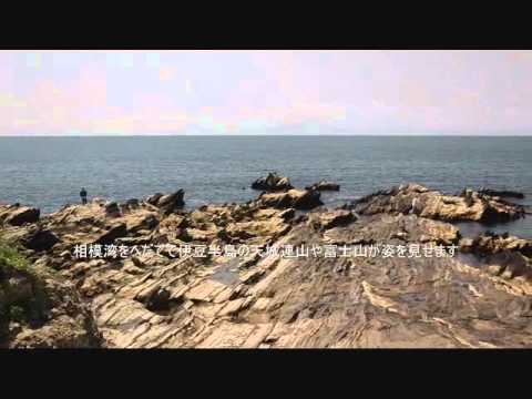 荒崎公園の潮風の丘