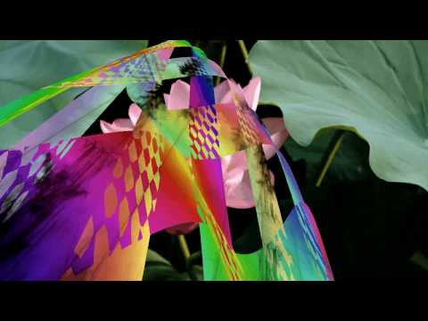 Lotus – Screen Saver Animation – Lissajous 3D Preview