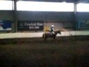 VEC HORSE SHOW VEC HORSE SHOW