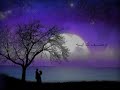 خاطرتـ( 3 )ـي - أنا مستحيل أنساك