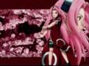 sakura et cie