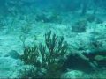 Cuba, Varadero Diving 2010