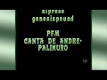 P.F.M. - Amico Fragile PALINURO
