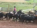 Team Penning Team Penning