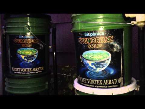 how to fertilize hydroponic weed