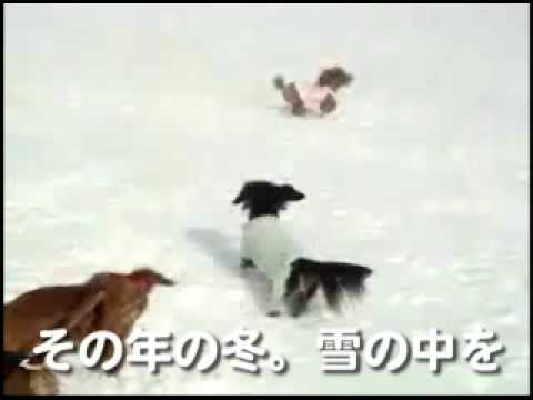 イフペンダント効果・口コミ・その冬、元気に走り回るように！