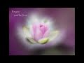 Heart of a Buddha (Part 2 - Serenity)