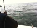 Dennis goes fishing Brielle NJ