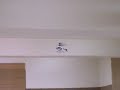 RC Hornet3 helicopter from hobbytron Pt6 RC Hornet3 helicopter from hobbytron Pt6