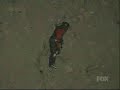 Dennis Rodman Stunt
