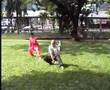 Taiji Chuan Wudang