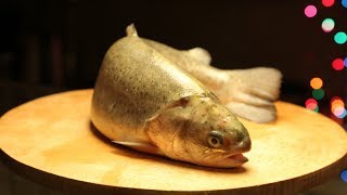 Урок  Разделка рыбы на филе (пластование)