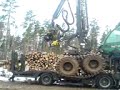 Timberjack 1270D drives on dunderbygge Timberjack 1270D drives on dunderbygge