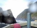 086 ドルフィンスイム in 御蔵島 2008
