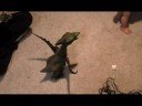 Baby & Dinosaur Baby & Dinosaur