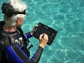 Tablet PC goes scuba diving Tablet PC goes scuba diving