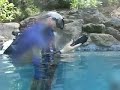 Tablet PC goes scuba diving