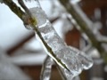 2012 Snowmageddon to SNOWPOCALYPSE Washington Historic Ice Storm(1 month ago)