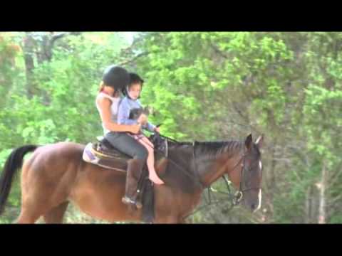 runners and riders