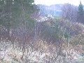 volvo 244 i skaun (12)